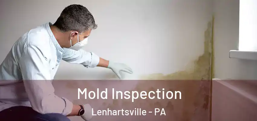  Mold Inspection Lenhartsville - PA