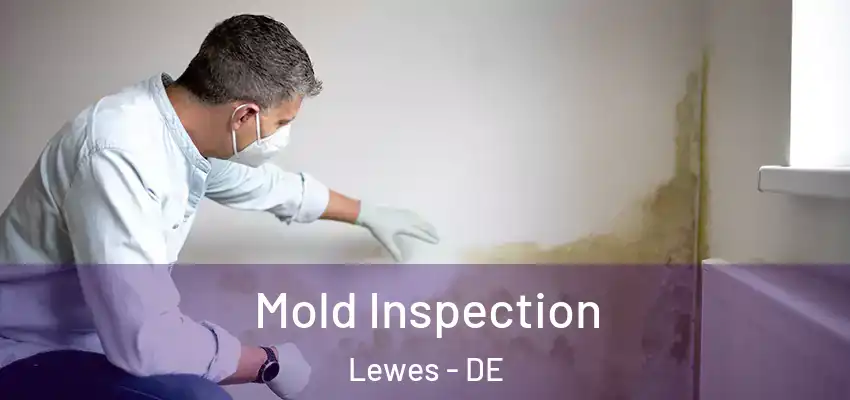 Mold Inspection Lewes - DE