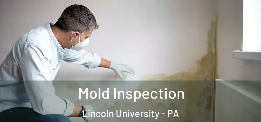 Mold Inspection Lincoln University - PA