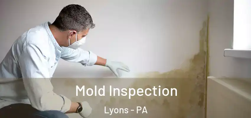  Mold Inspection Lyons - PA