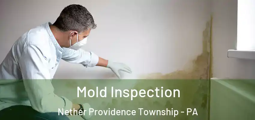 Mold Inspection Nether Providence Township - PA