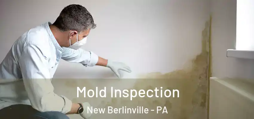 Mold Inspection New Berlinville - PA