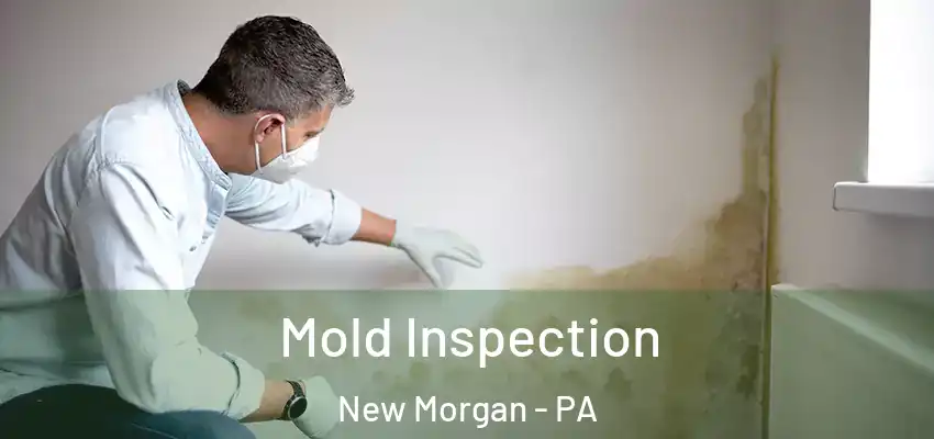 Mold Inspection New Morgan - PA