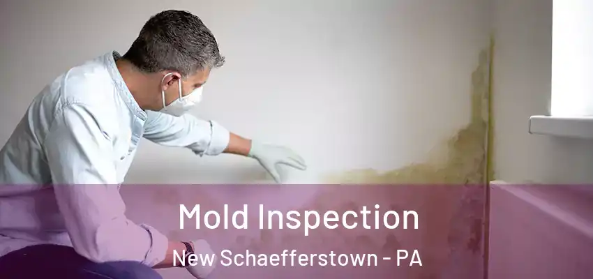  Mold Inspection New Schaefferstown - PA