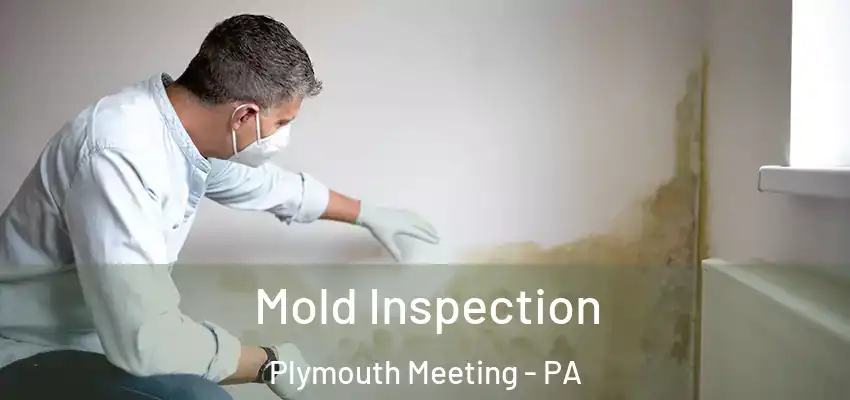 Mold Inspection Plymouth Meeting - PA