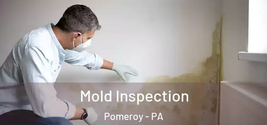  Mold Inspection Pomeroy - PA