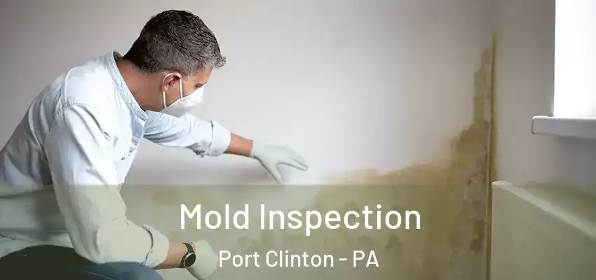 Mold Inspection Port Clinton - PA