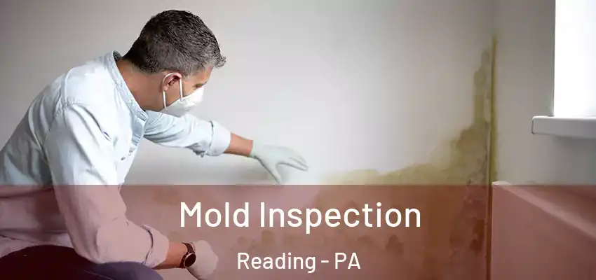  Mold Inspection Reading - PA