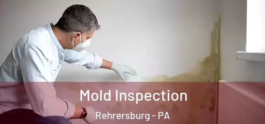 Mold Inspection Rehrersburg - PA