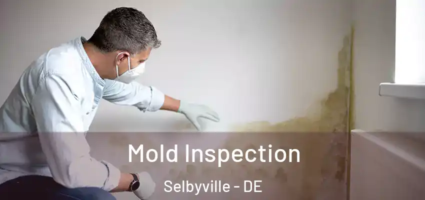  Mold Inspection Selbyville - DE