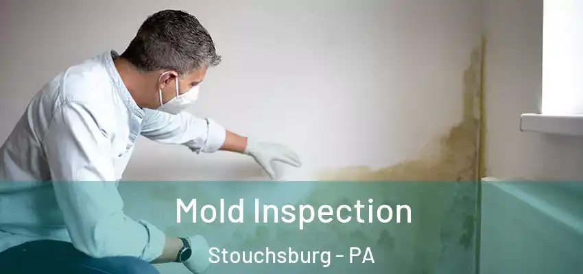  Mold Inspection Stouchsburg - PA