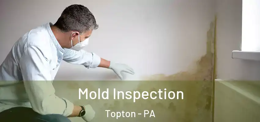  Mold Inspection Topton - PA