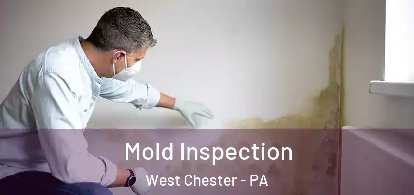  Mold Inspection West Chester - PA