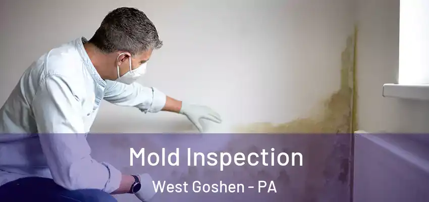 Mold Inspection West Goshen - PA