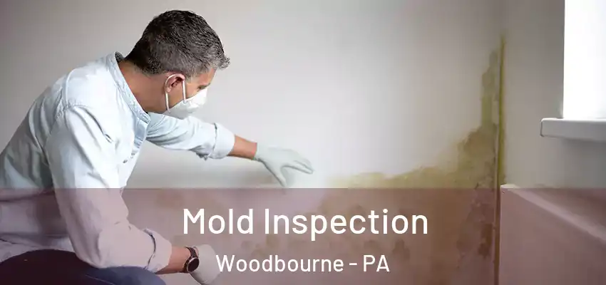  Mold Inspection Woodbourne - PA
