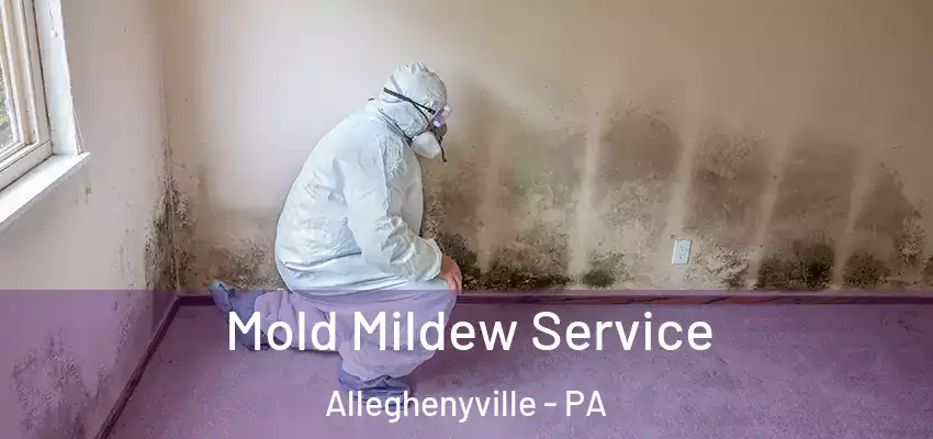 Mold Mildew Service Alleghenyville - PA