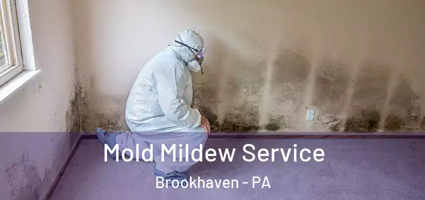  Mold Mildew Service Brookhaven - PA