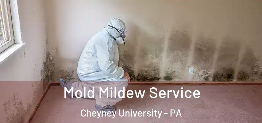 Mold Mildew Service Cheyney University - PA