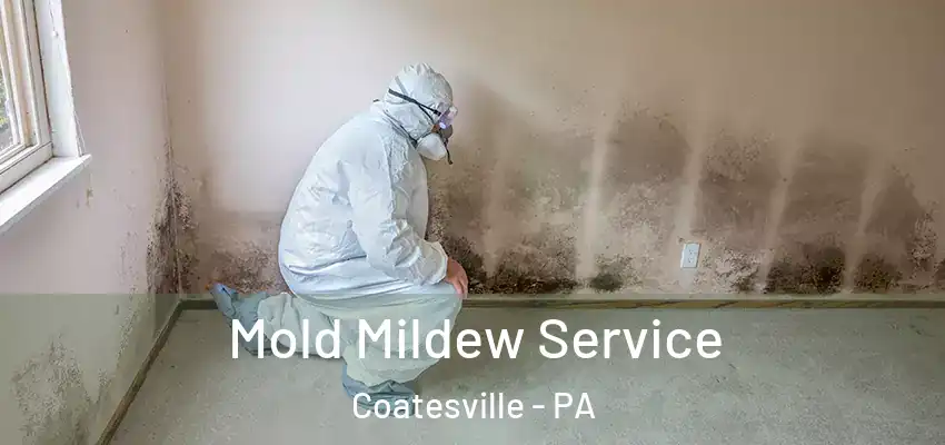  Mold Mildew Service Coatesville - PA