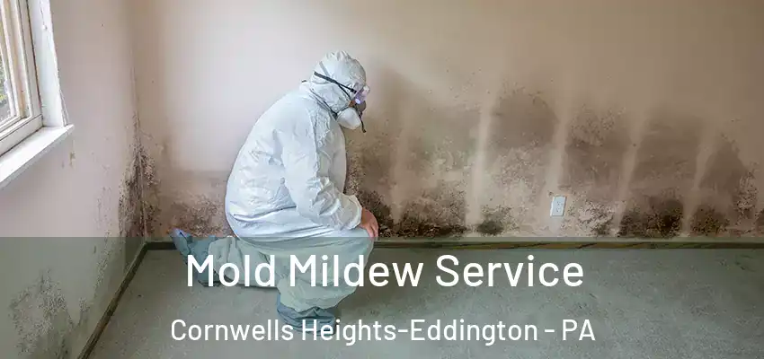Mold Mildew Service Cornwells Heights-Eddington - PA