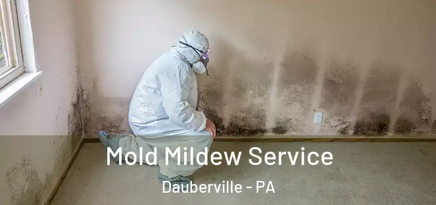  Mold Mildew Service Dauberville - PA