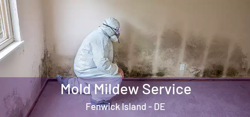  Mold Mildew Service Fenwick Island - DE