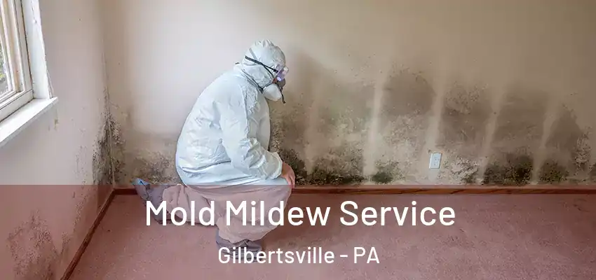 Mold Mildew Service Gilbertsville - PA