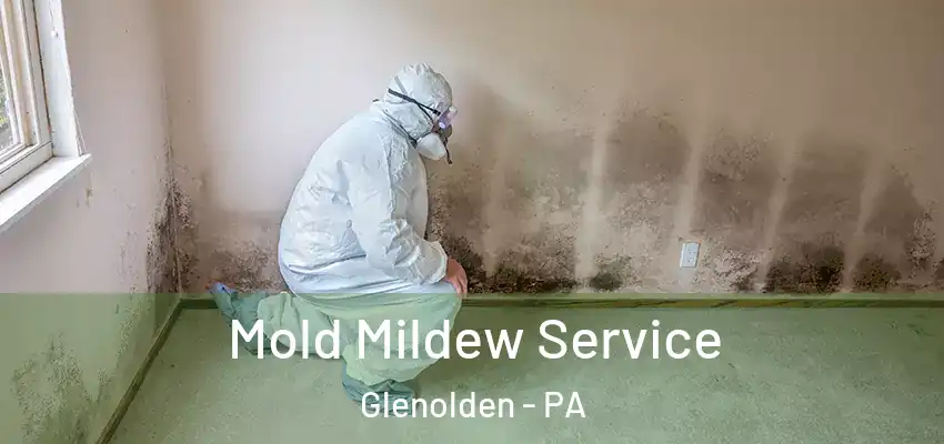 Mold Mildew Service Glenolden - PA