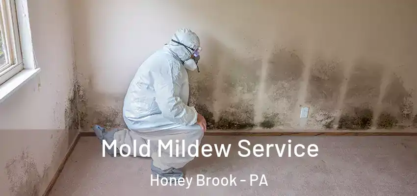  Mold Mildew Service Honey Brook - PA