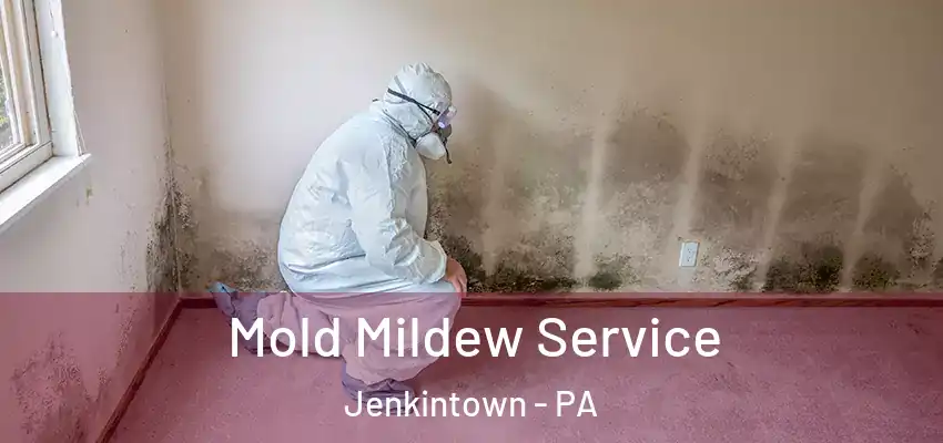 Mold Mildew Service Jenkintown - PA