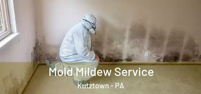 Mold Mildew Service Kutztown - PA
