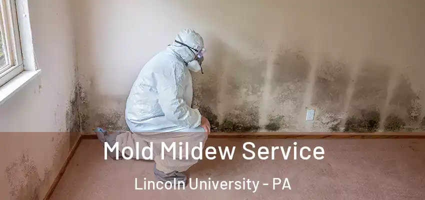Mold Mildew Service Lincoln University - PA