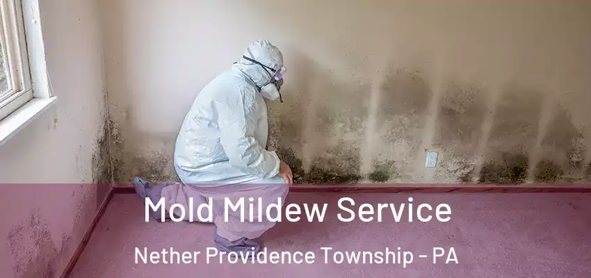 Mold Mildew Service Nether Providence Township - PA