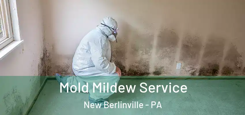 Mold Mildew Service New Berlinville - PA