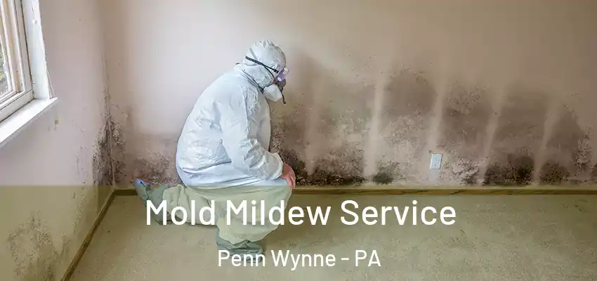 Mold Mildew Service Penn Wynne - PA