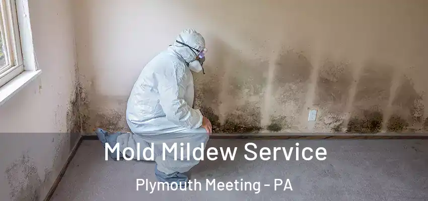 Mold Mildew Service Plymouth Meeting - PA