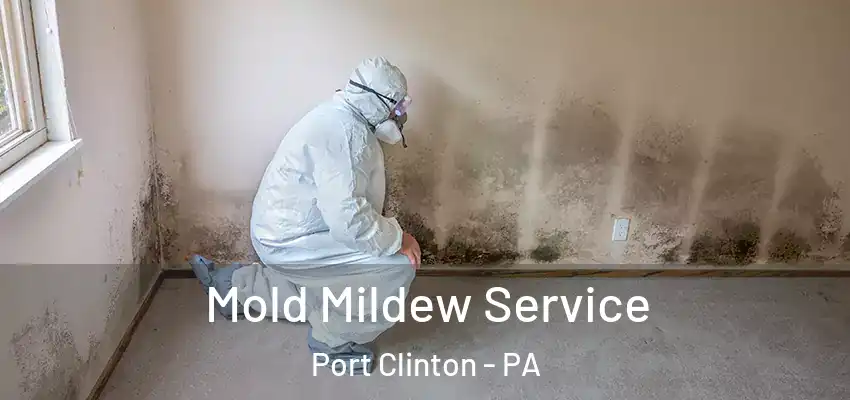  Mold Mildew Service Port Clinton - PA
