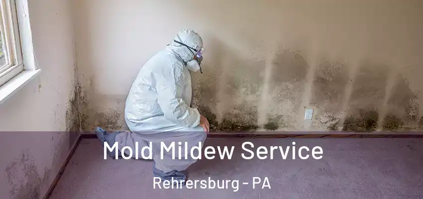 Mold Mildew Service Rehrersburg - PA