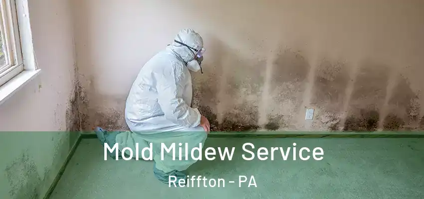  Mold Mildew Service Reiffton - PA