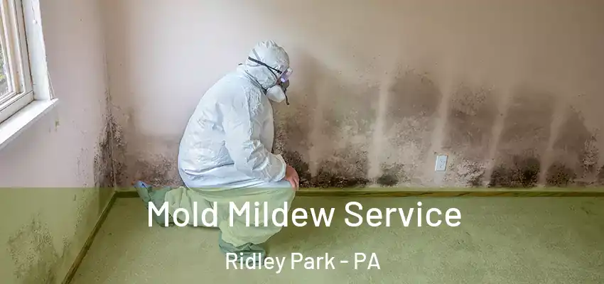  Mold Mildew Service Ridley Park - PA
