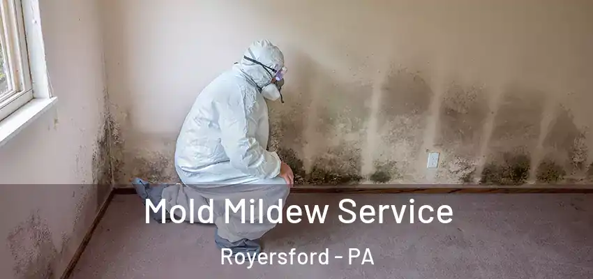  Mold Mildew Service Royersford - PA