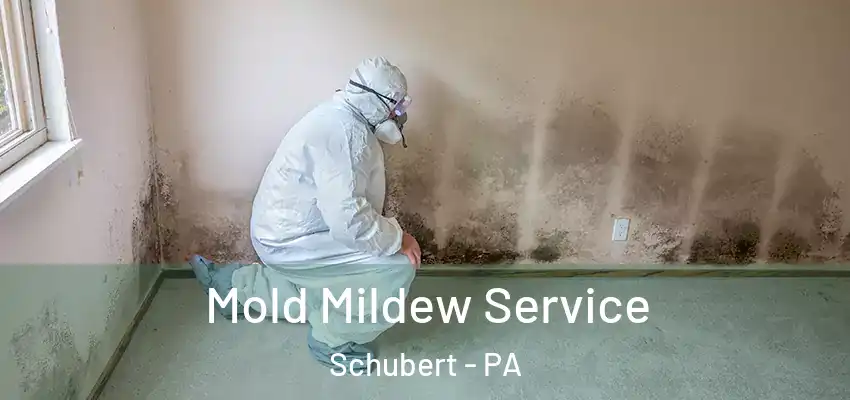 Mold Mildew Service Schubert - PA