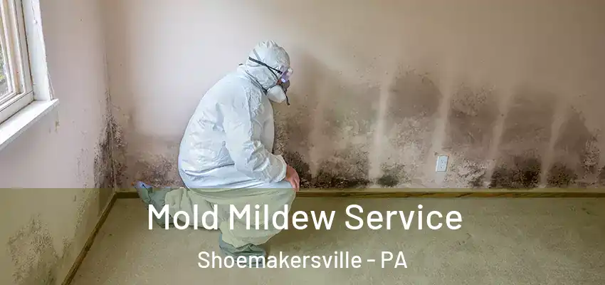 Mold Mildew Service Shoemakersville - PA