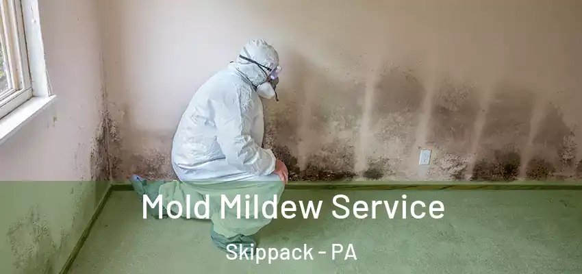  Mold Mildew Service Skippack - PA