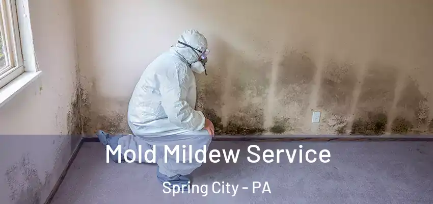 Mold Mildew Service Spring City - PA