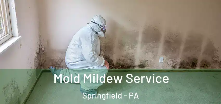  Mold Mildew Service Springfield - PA