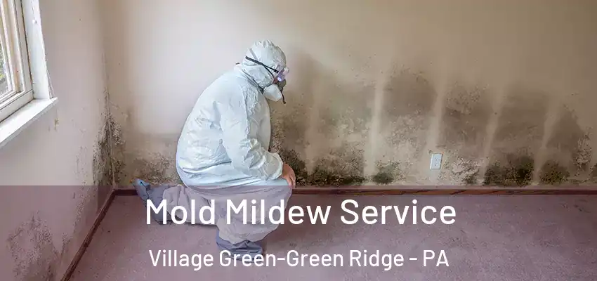 Mold Mildew Service Village Green-Green Ridge - PA
