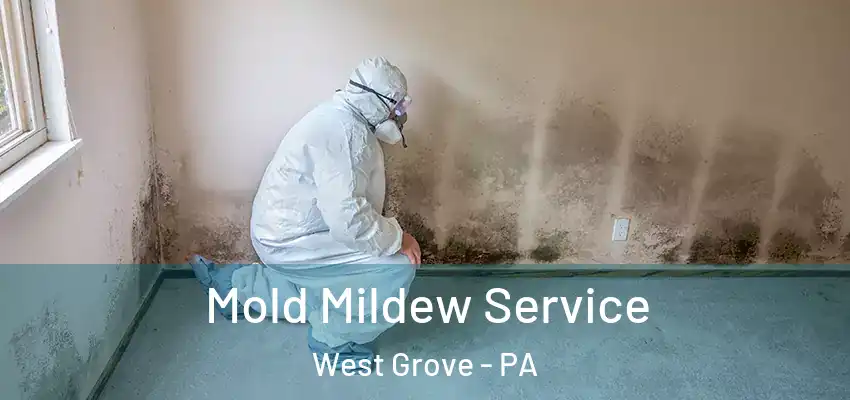Mold Mildew Service West Grove - PA