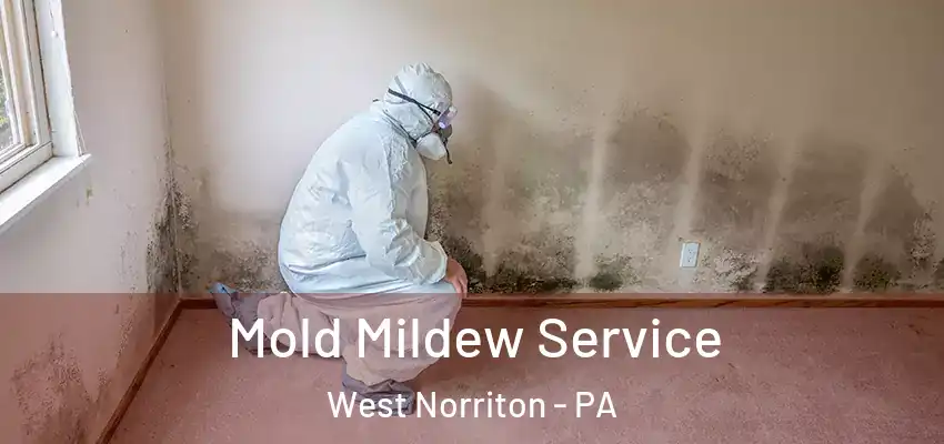 Mold Mildew Service West Norriton - PA