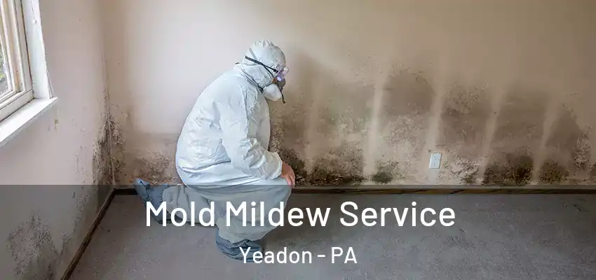 Mold Mildew Service Yeadon - PA